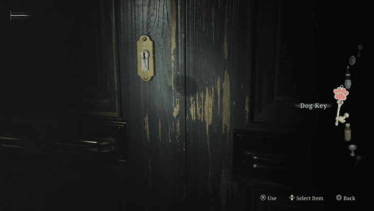 Use the Dog Key on the Observation Room