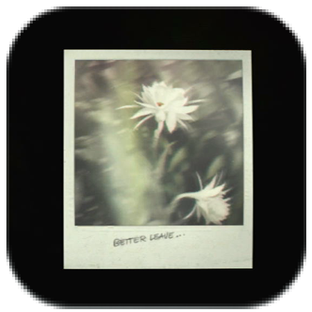 "Better leave..." Icon