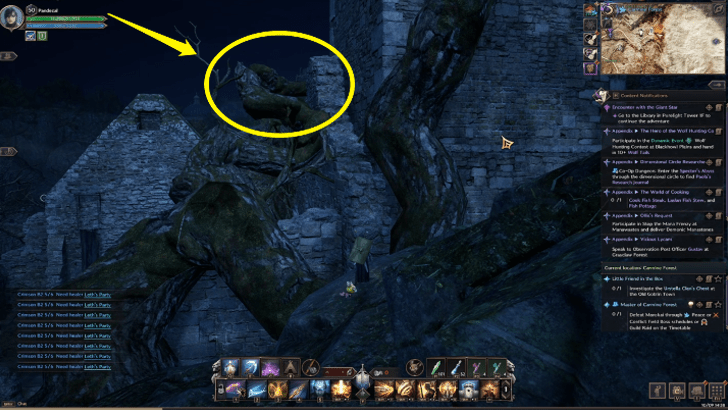 Climb on Top of the Bark