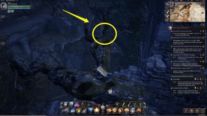 Edge of the Tree Branch