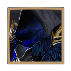 Throne and Liberty - Shield of Stalwart Cooperation