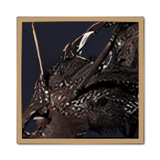 Throne and Liberty - Poisons, Explosions, and Detox Herbs