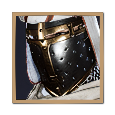 Throne and Liberty - Warrior