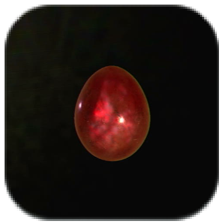 Scarlet Egg Icon