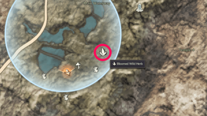 Bloomed Wild Herb Icon