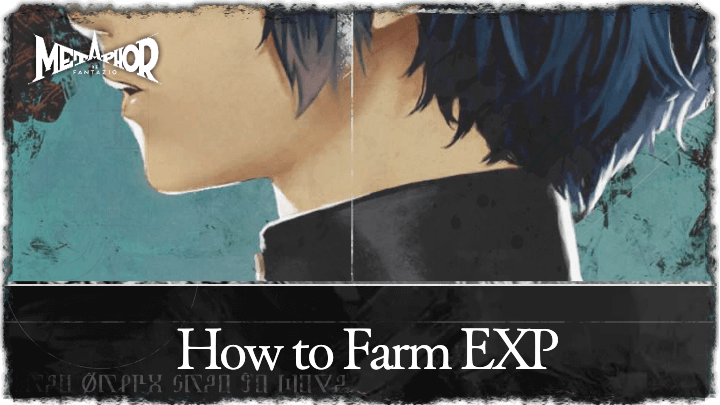 How to Farm EXP