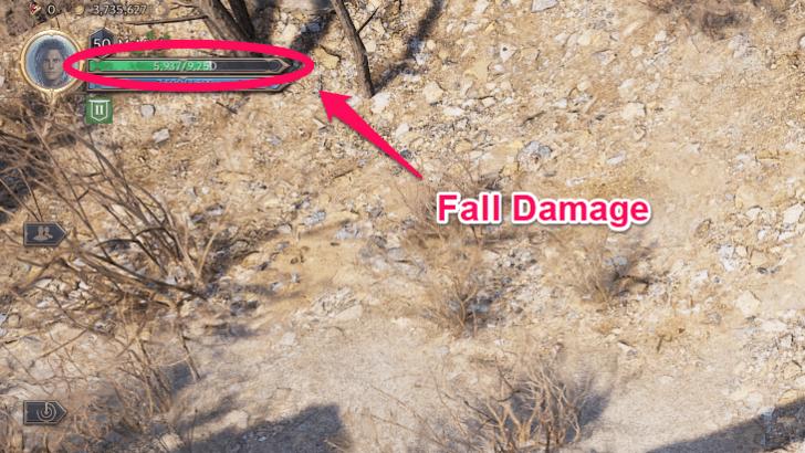 Throne and Liberty Decreased Life Bar