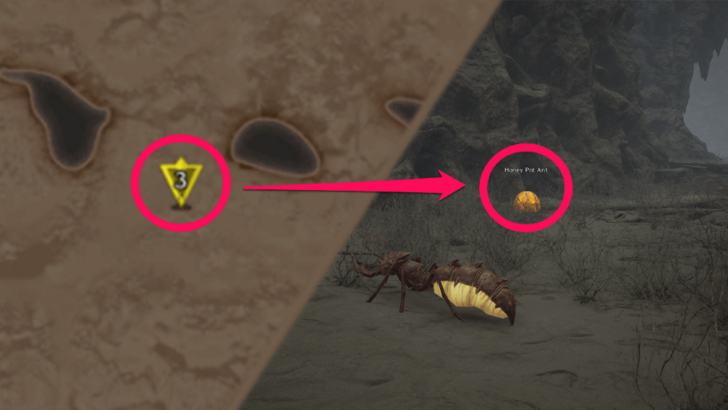 Throne and Liberty Honeypot Ant Location 3