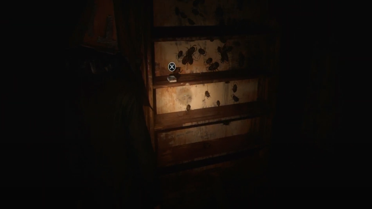 Rifle Rounds The Labyrinth Overworld Loc. 7