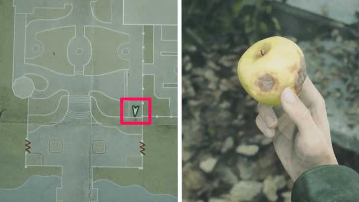 Rotten Apple Location and Appearance
