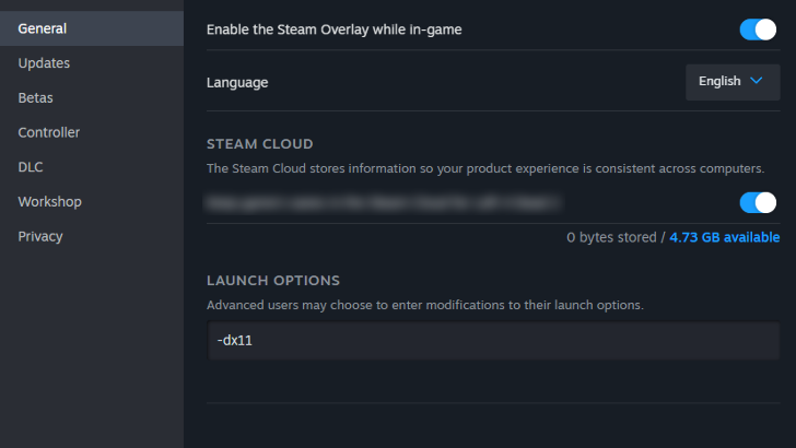 Change the Launch Options