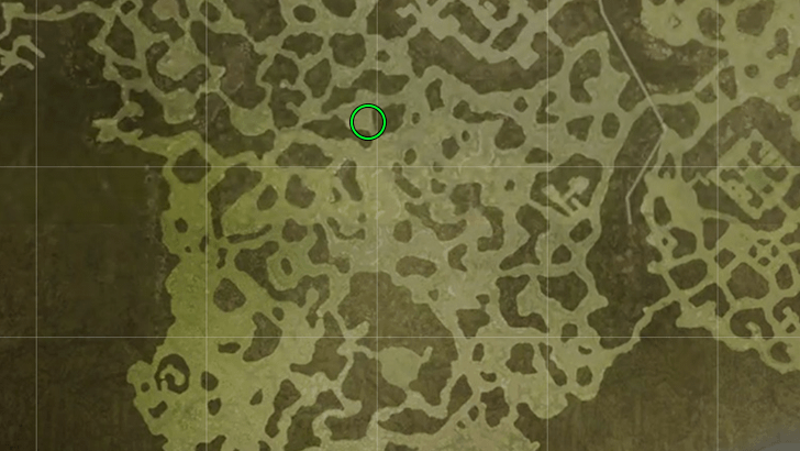 Lost to the Jungle Map Location