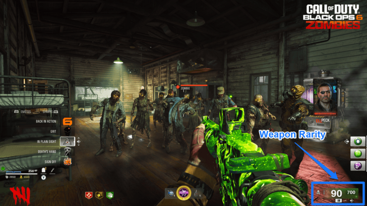 Black Ops 6 Zombies Weapon Rarity with HUD