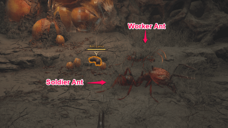 Throne and Liberty Two Ants