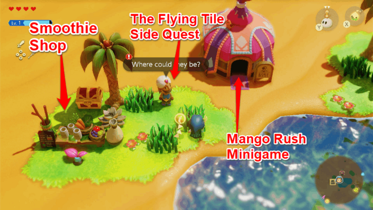 Oasis Optional Activities