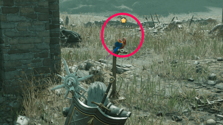 Ruins of Turayne Parrot Mail