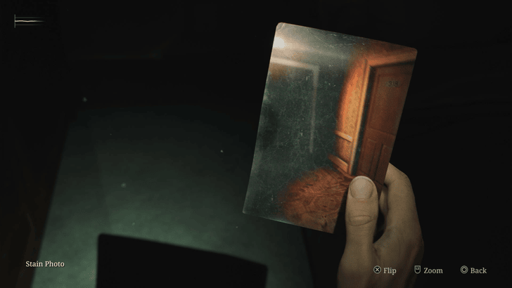 Stain Photo - Light Difficulty.png