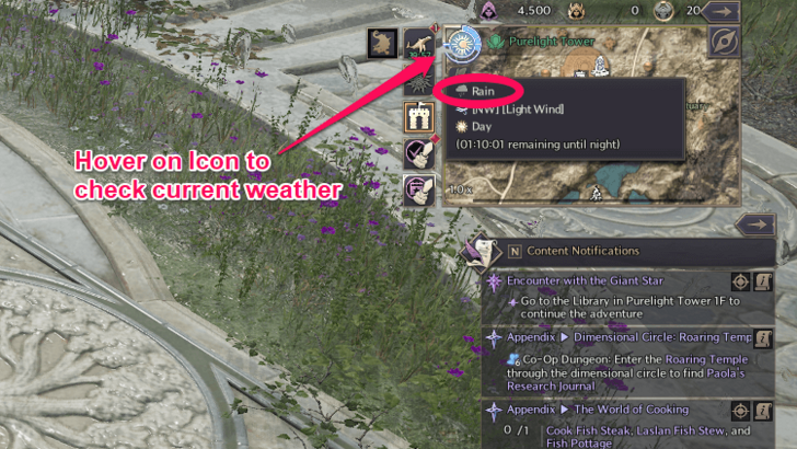 Throne and Liberty Rain Indicator