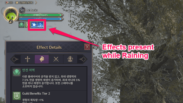 Throne and Liberty Effects While Raining