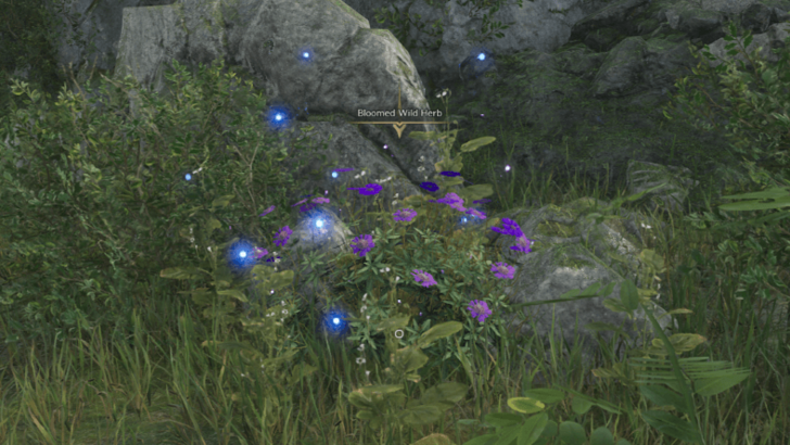 Throne and Liberty Bloomed Wild Herb