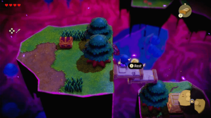 Stilled Suthorn Forest Tree