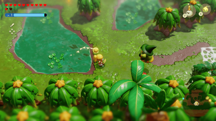 Electric Wizzrobe on the Way to Blossu