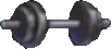 Weighted Barbell EX
 Icon