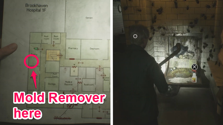Mold Remover Location