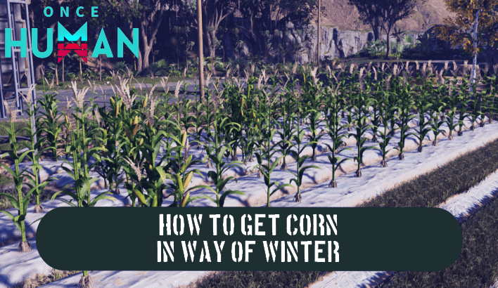 Once Human - How to Craft a Corn in Way of Winter