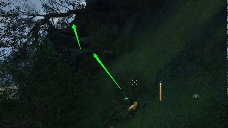 Footprint on the Peak Step 4