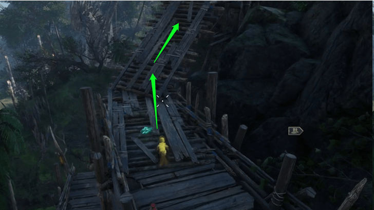 Footprint on the Peak Step 5