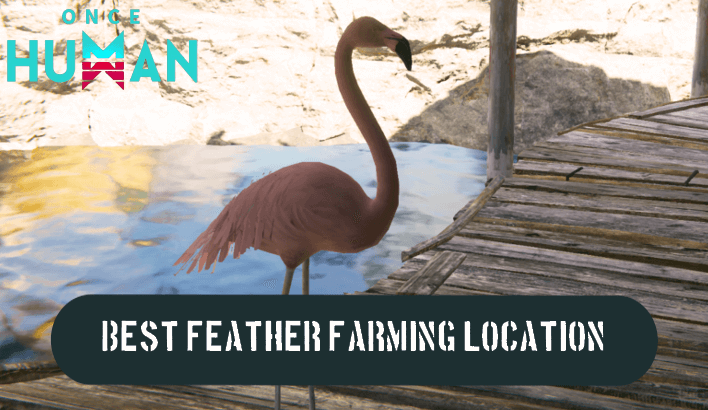 Once Human - Best Feather Flamingo Farming Location