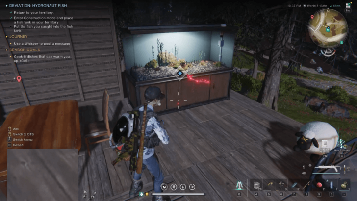 Build a Fish Tank and Put the Fish