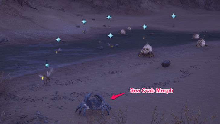 Daybreak Shore Morph