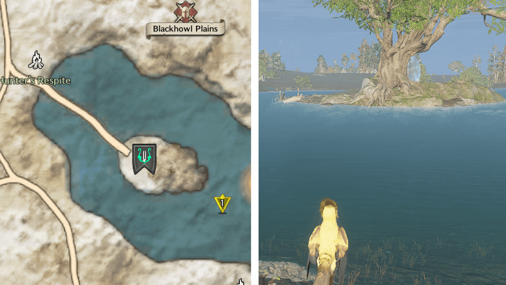 Blackhowl Plains Lake