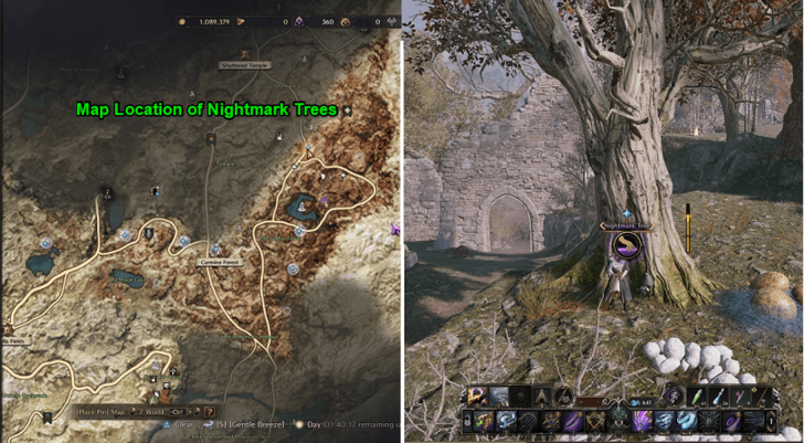 Nightmark Tree Location