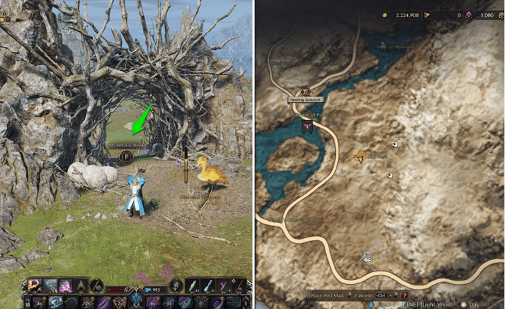 Collection Page Location