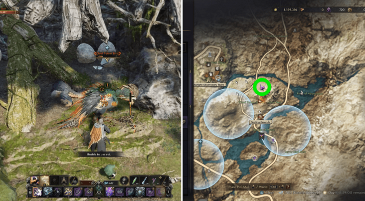 Chief Terror Bird Location