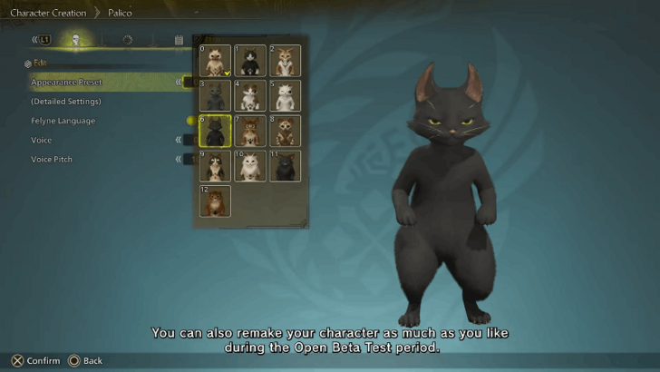 Character Creation Settings