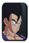 Gohan (Adult) Image