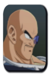Nappa Image