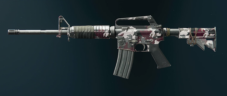 Black Ops 6 - Savanna XM4 Camo