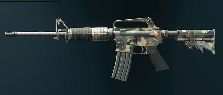 Black Ops 6 - Woodland XM4 Camo