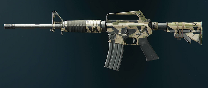 Black Ops 6 - Rugged XM4 Camo