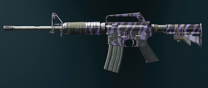 Black Ops 6 - Purple Tiger XM4 Camo