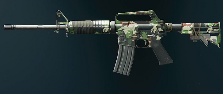 Black Ops 6 - Evergreen XM4 Camo