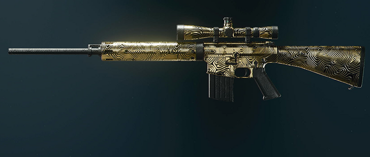 Black Ops 6 (BO6) - Mystic Gold DM-10