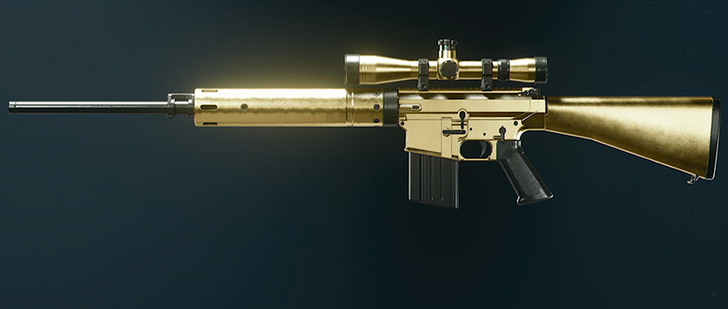 Black Ops 6 (BO6) - Gold DM-10