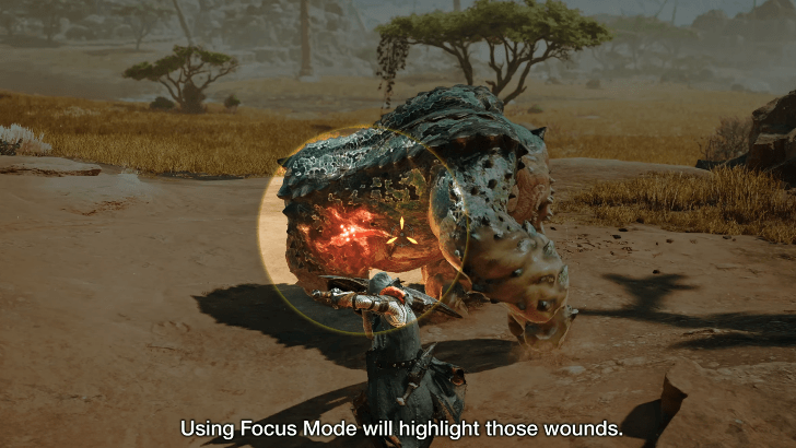 Focus Mode highlighting a weakspot