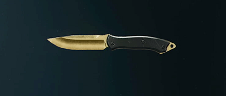 Black Ops 6 (BO6) - Gold Knife